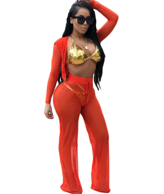 Sheer Mesh Outfit Set